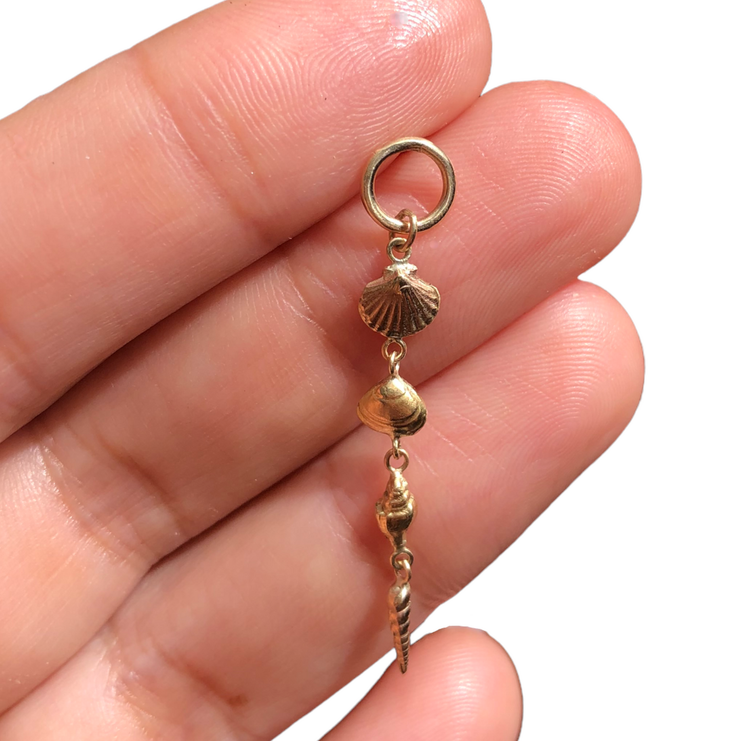 Shoreline shells earring