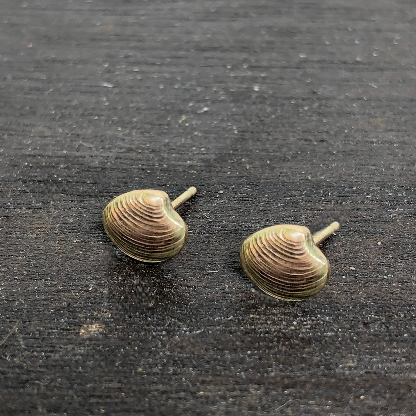 Shell earrings