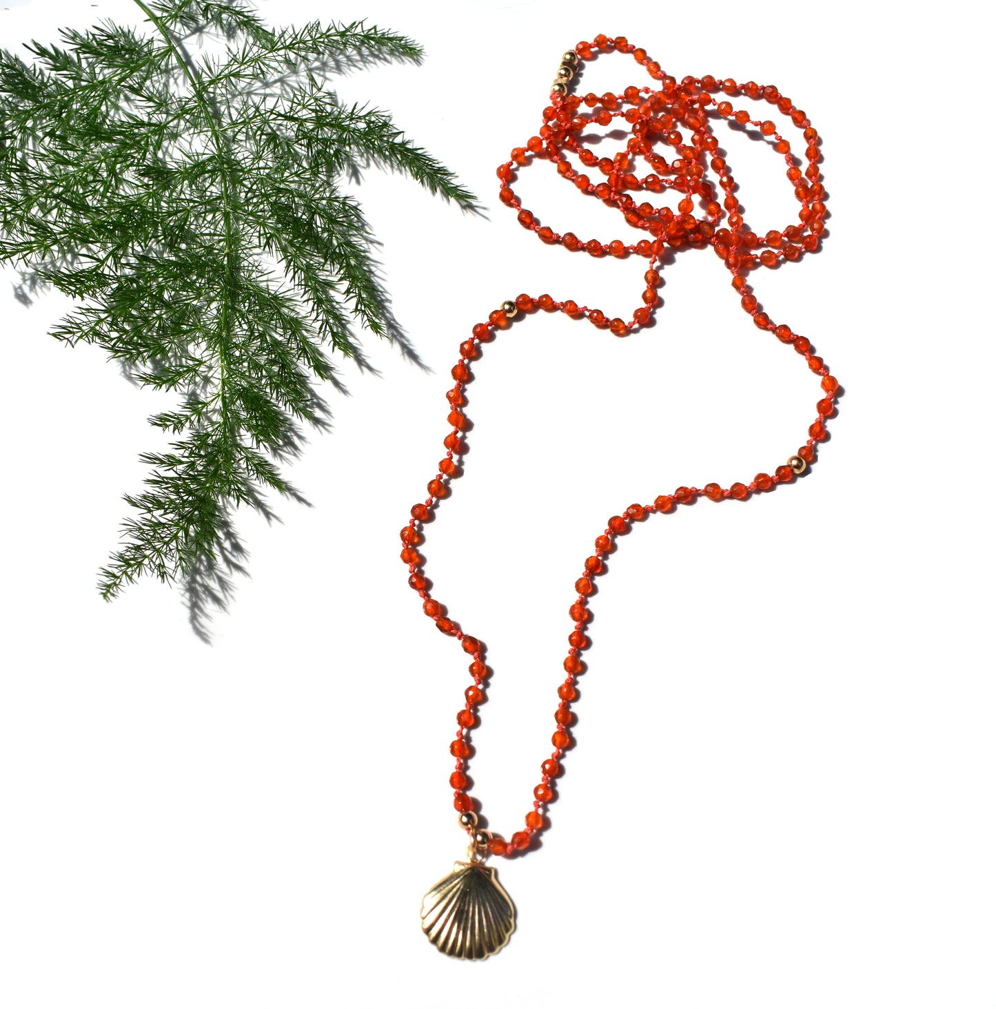 Conch Necklace