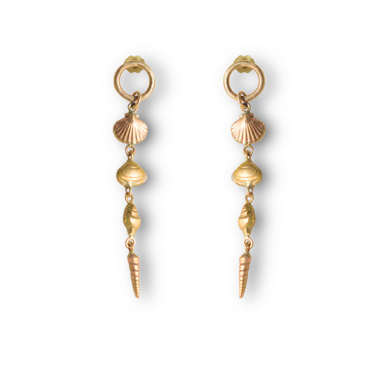 Shoreline shells earring