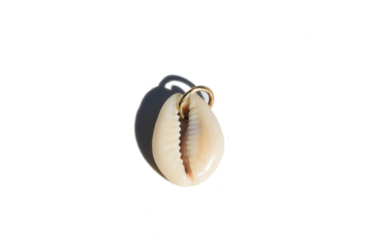 Cowrie Shell Charm