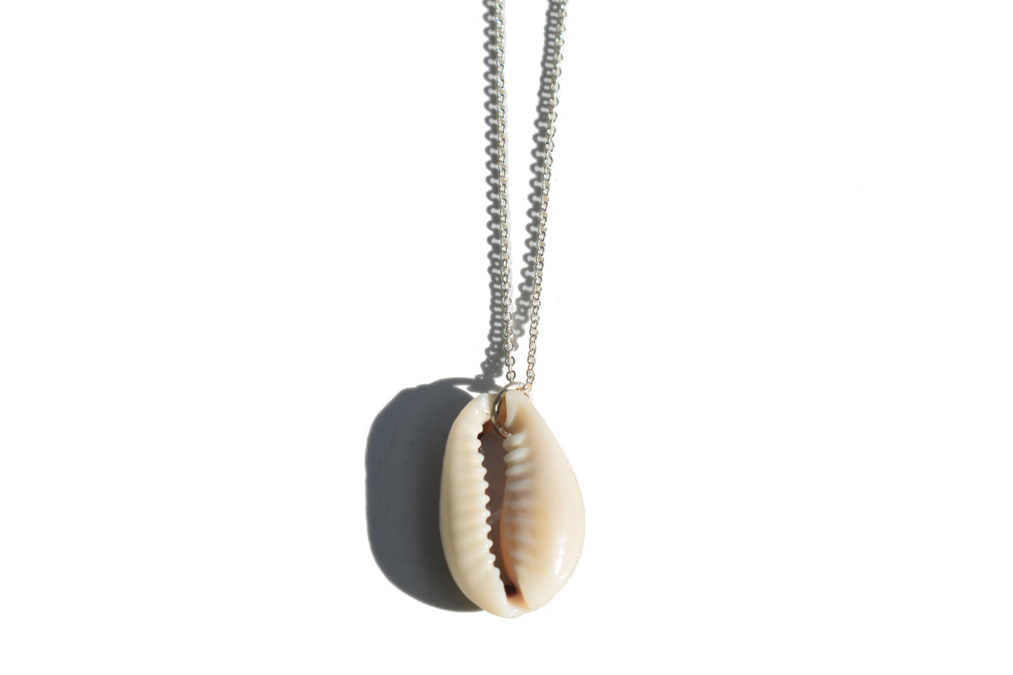 Cowrie Shell Charm