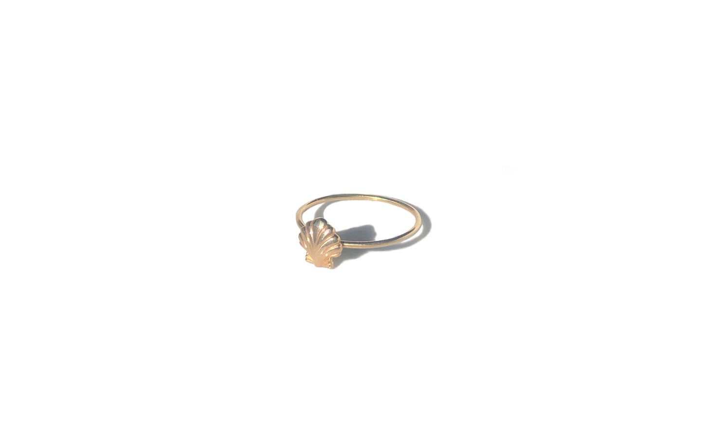 Scallop Shell ring
