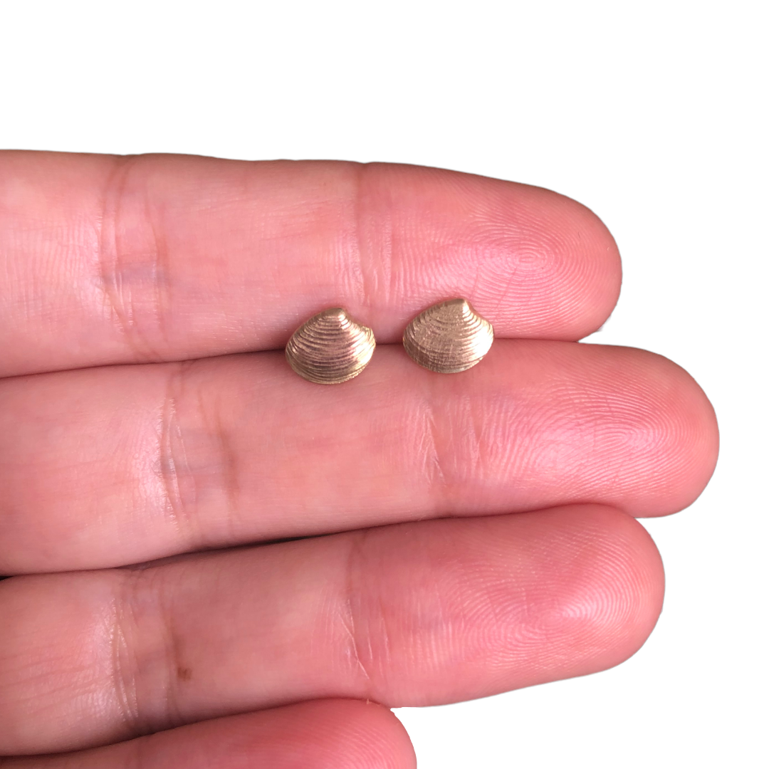 Lucina shell earrings