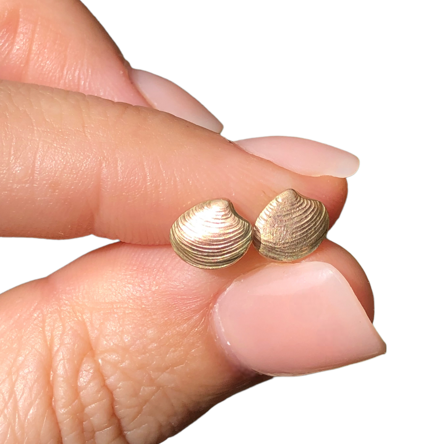 Lucina shell earrings