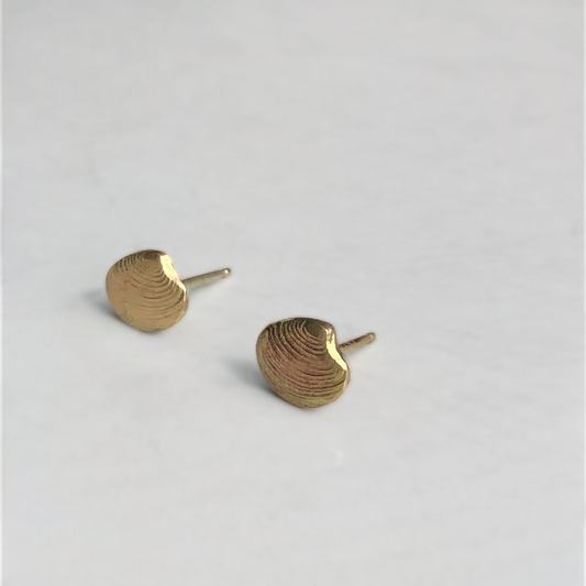 Lucina shell earrings