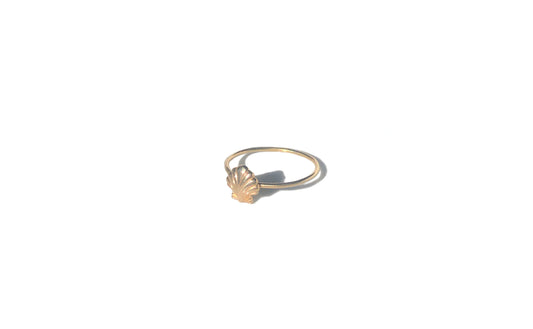 Scallop Shell ring