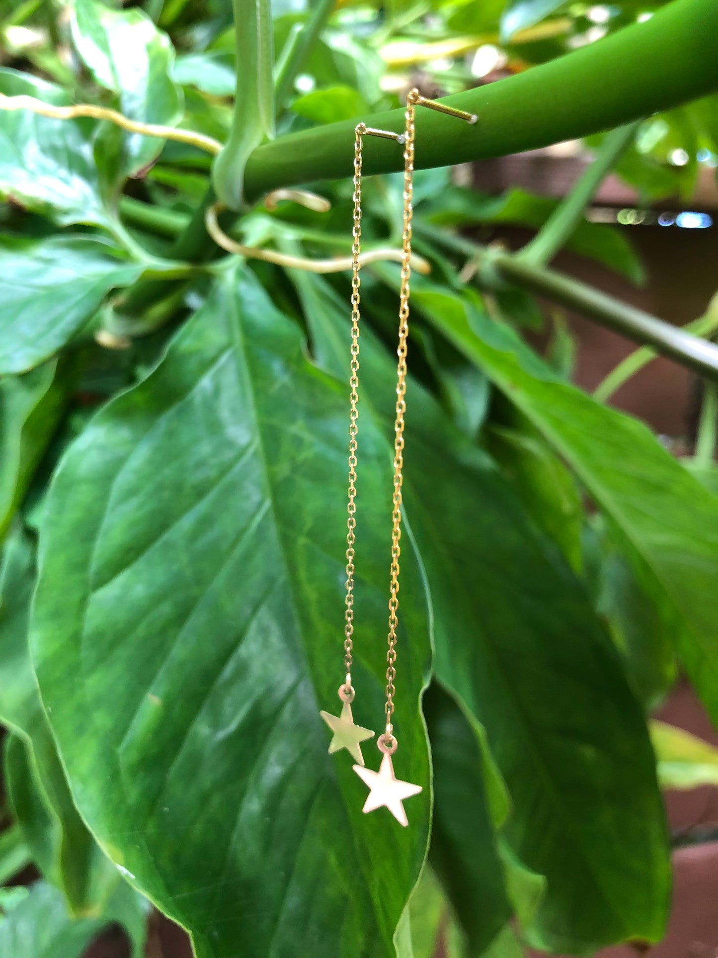 14k yellow gold star earring - Beach Jewelry Kailua Hawaii 